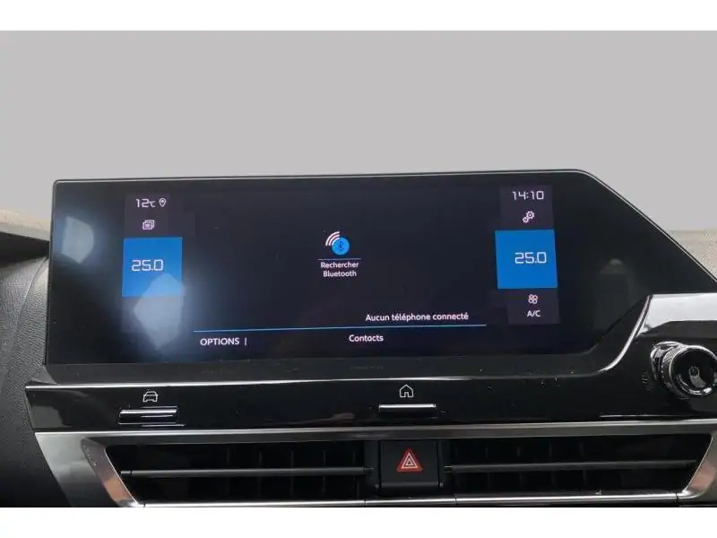 Occasion Citroen C4 Feel Pack Business BROWN 31