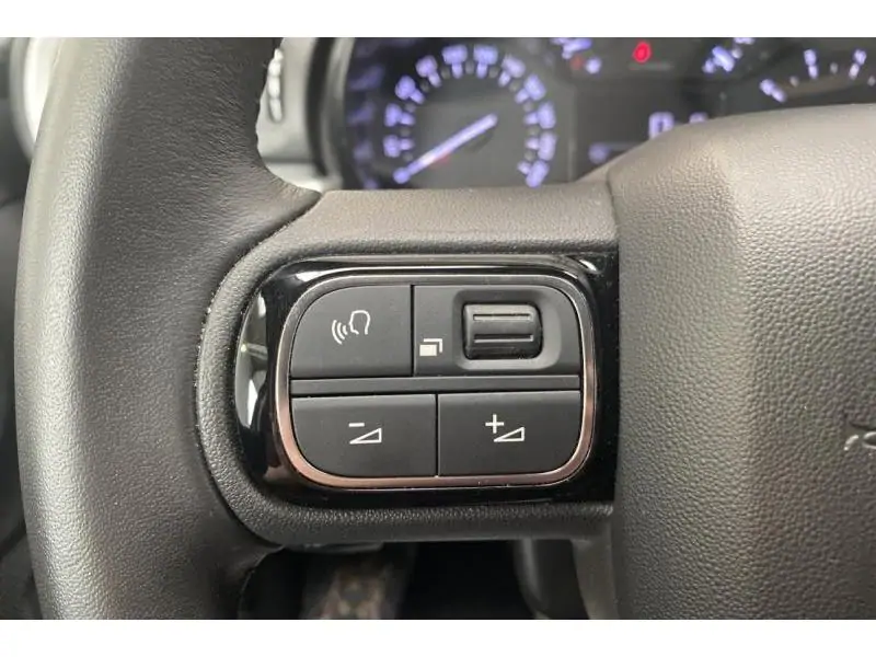 Occasion Citroen C3 Max 1.2 110 eat6 GREY 21