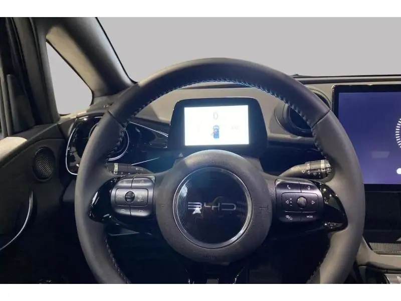VEHICLE__CONDITION_SERVICE BYD DOLPHIN COMFORT GREY 12