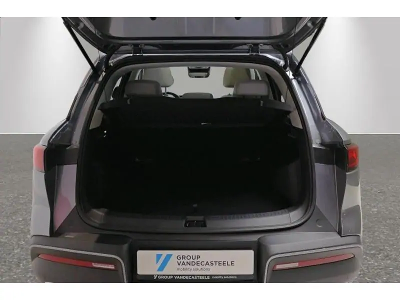 VEHICLE__CONDITION_SERVICE BYD ATTO 2 DMI BOOST GREY 19