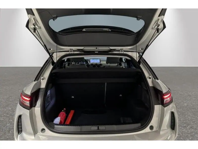 VEHICLE__CONDITION_SERVICE DS Automobiles DS 3 ESPRIT DE VOYAGE 130 GREY 19