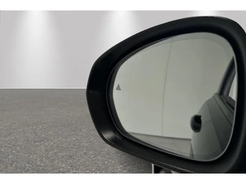 VEHICLE__CONDITION_SERVICE Alfa Romeo Tonale Ibrida Hybrid 160 Sprint BLACK 22