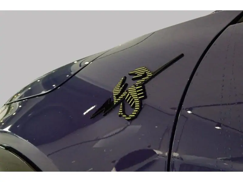 VEHICLE__CONDITION_SERVICE Abarth 600 600E SCORPONISSIMA PURPLE 21