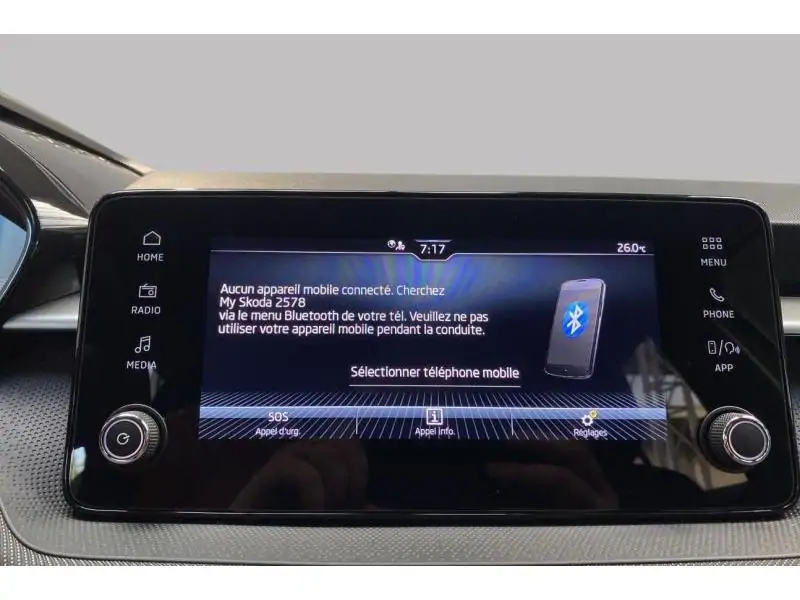 Occasion Skoda Fabia Selection GREY 32