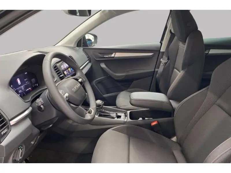Occasion Skoda Karoq Selection BLACK 10