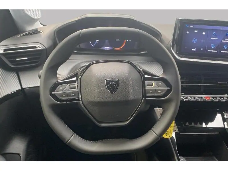 VEHICLE__CONDITION_SERVICE Peugeot 208 ENVY*Véh. de Direction! GREY 12