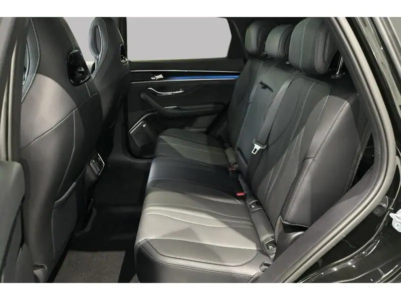 VEHICLE__CONDITION_SERVICE BYD Seal U DM-I BOOST BLACK 18