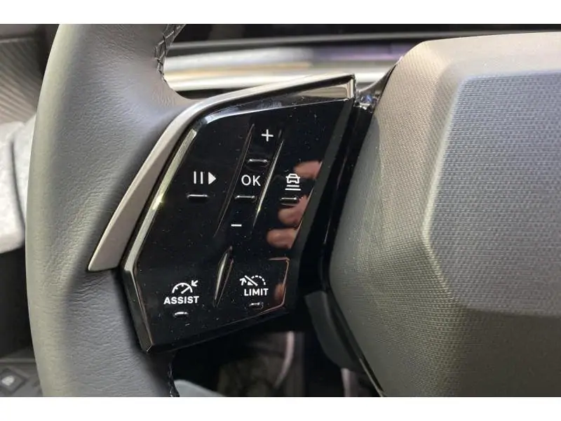 VEHICLE__CONDITION_SERVICE Peugeot 3008 ALLURE*DISPO 06/2026 GREY 21