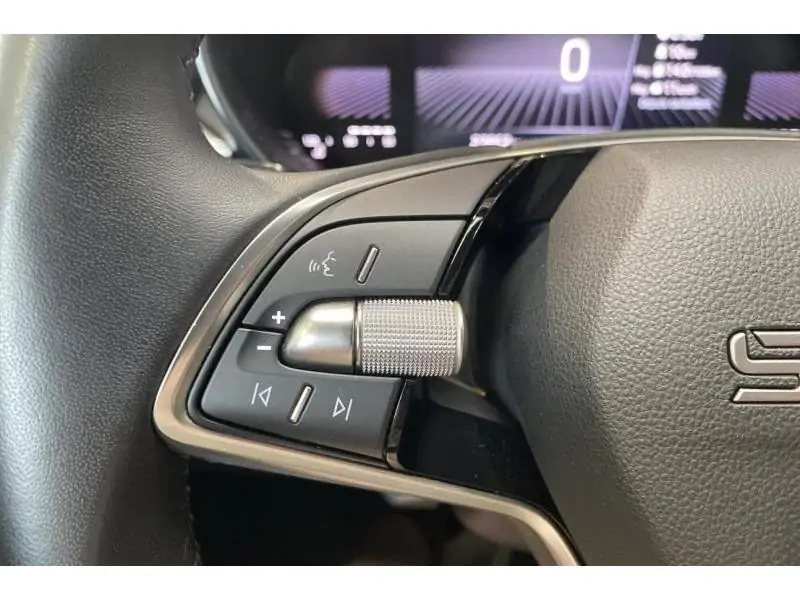 Occasion Skoda Fabia Selection GREY 26