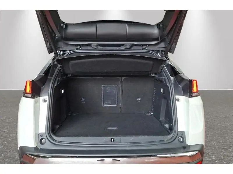 Occasion Peugeot 3008 GT Line open dak WHITE 19