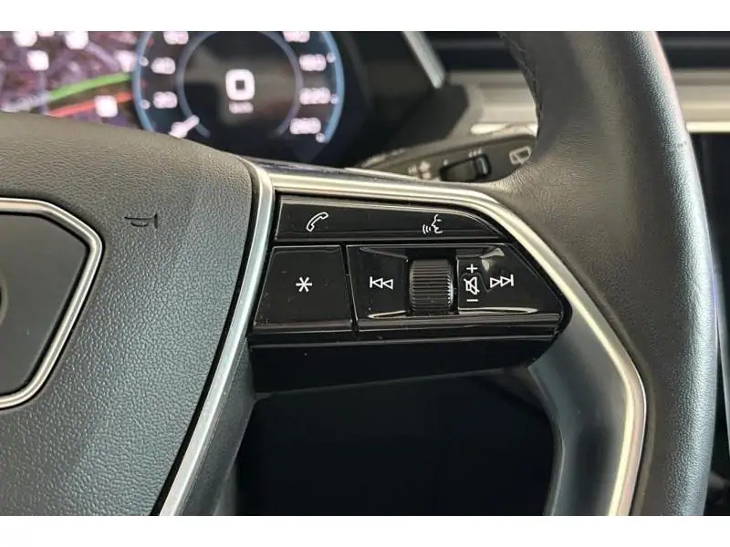 Occasion Audi e-tron 55 QUATTRO S-Line - Pano - Tre BLACK 15