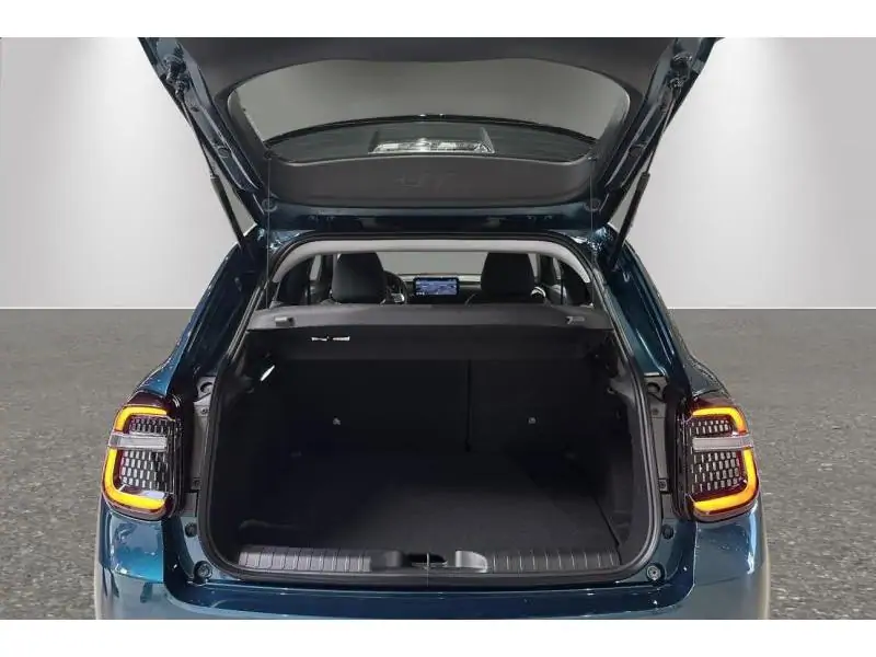 VEHICLE__CONDITION_SERVICE Fiat 600 Hybrid GREEN 19