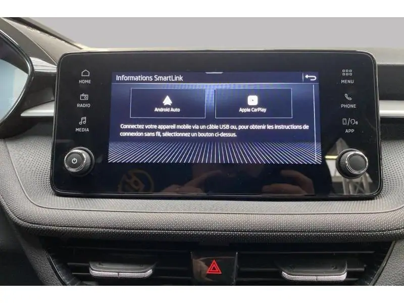 Occasion Skoda Fabia Selection GREY 31