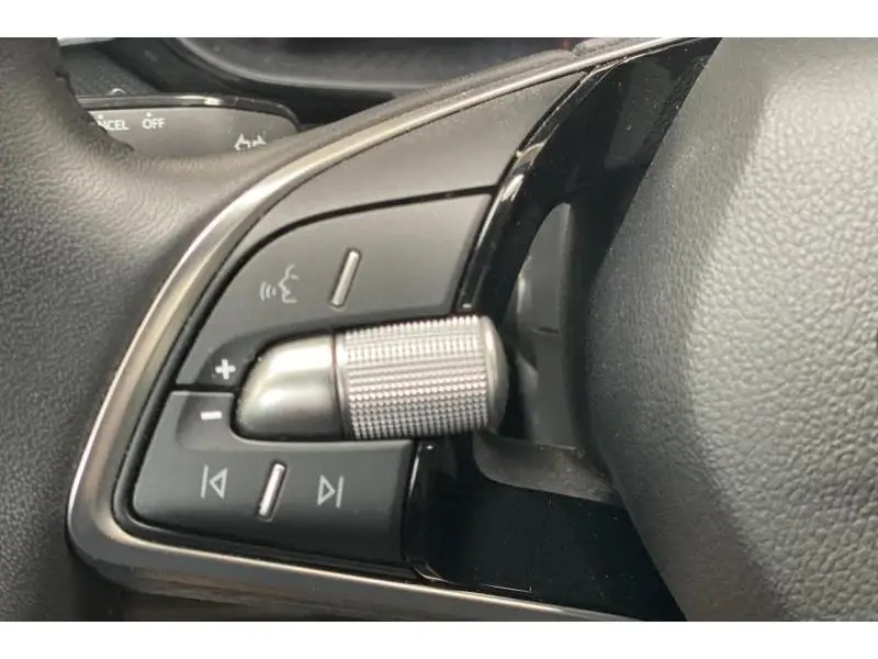 Occasion Skoda Fabia Selection GREY 30