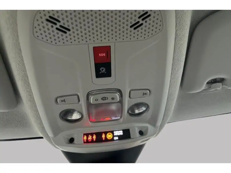 Occasion Citroen C4 FEEL GREY 29