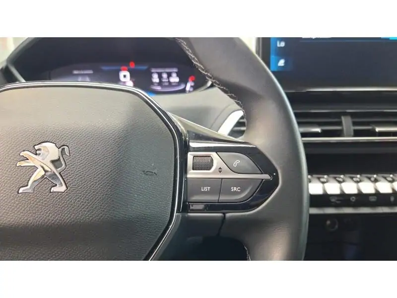 Occasion Peugeot 3008 ALLURE GREY 29