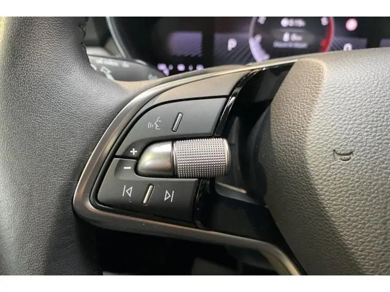 Occasion Skoda Fabia Selection 1.0 TSI DSG GREY 21