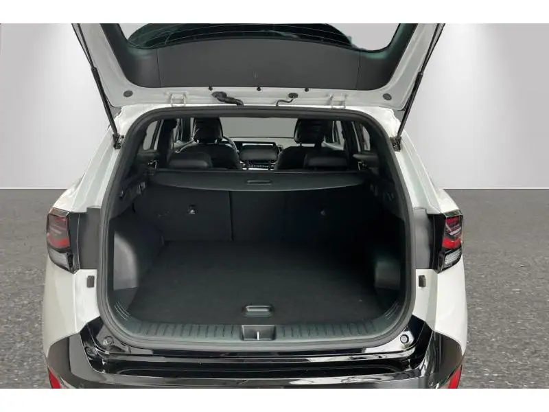 Occasion Kia Sportage 20e anniversary WHITE 19