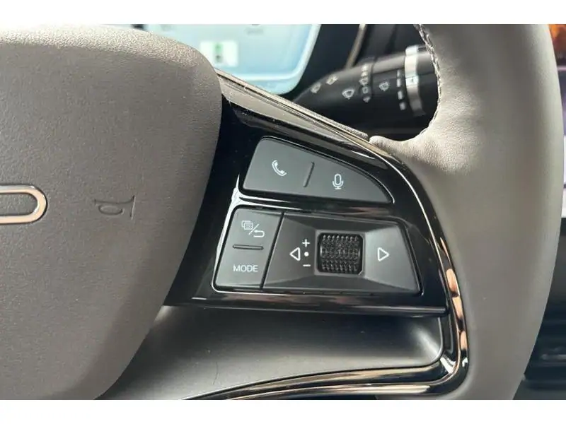 Occasion BYD HAN Executive AWD GREY 34