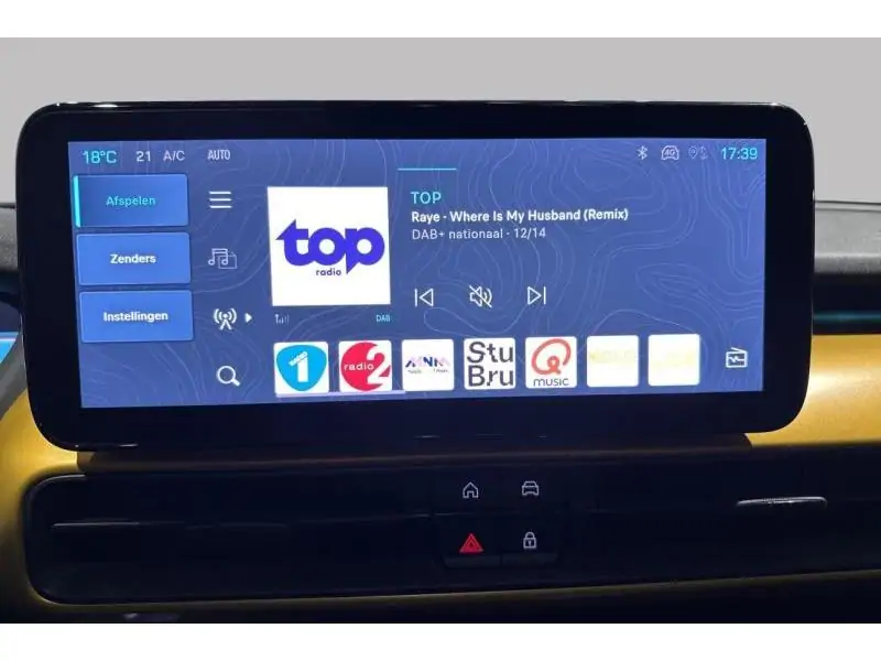 VEHICLE__CONDITION_SERVICE Jeep Avenger 1st Edition GREY 14