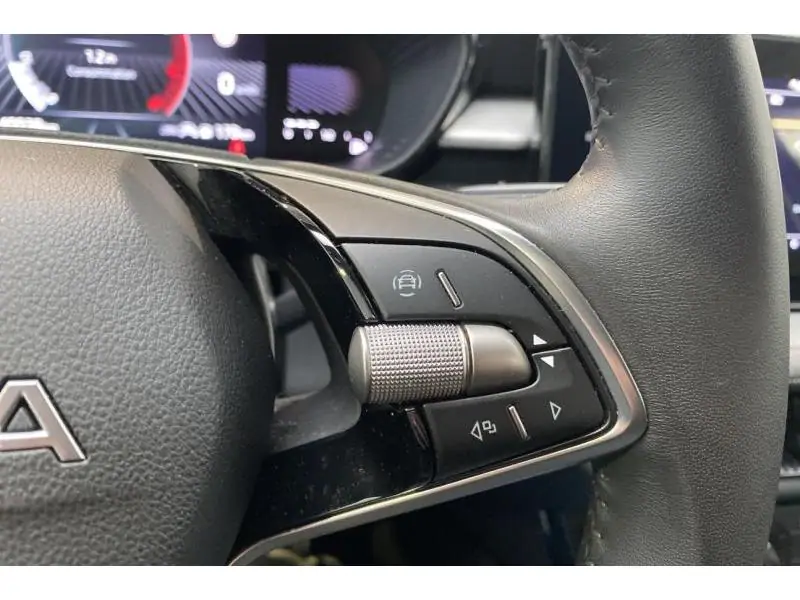 Occasion Skoda Fabia Selection GREY 26