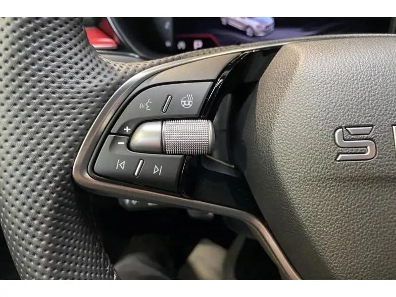 Occasion Skoda Fabia Monte Carlo GREY 23