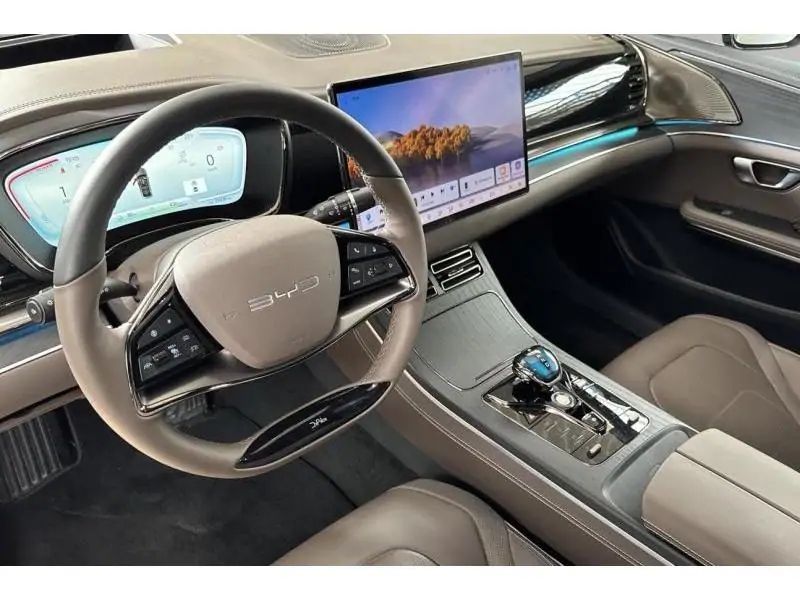 Occasion BYD HAN Executive AWD GREY 9