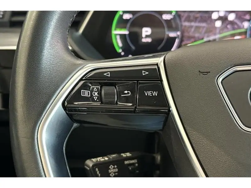 Occasion Audi e-tron 55 QUATTRO S-Line - Pano - Tre BLACK 14