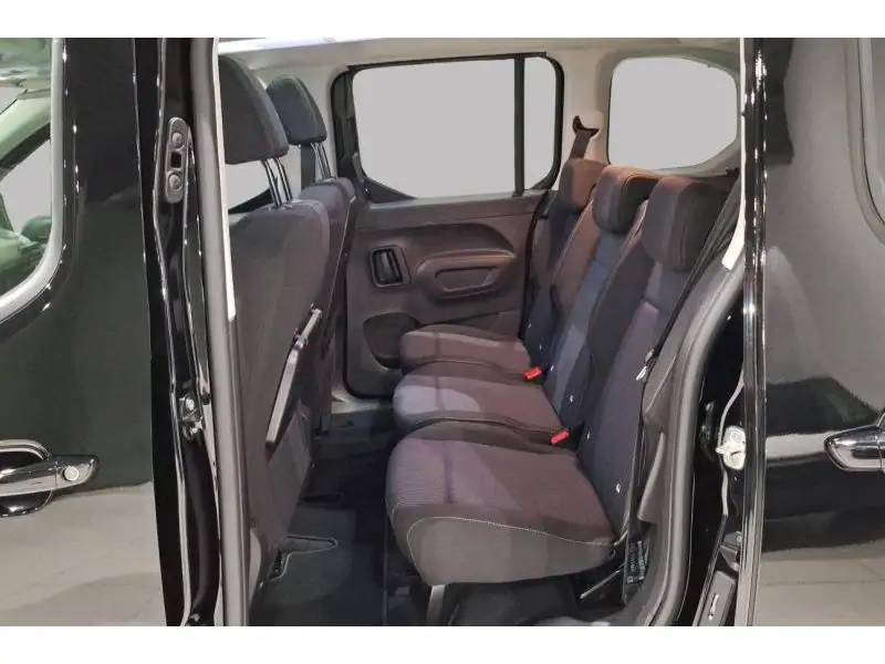 VEHICLE__CONDITION_SERVICE Fiat Doblo PC Serie 3-Small 1.2 BLACK 18