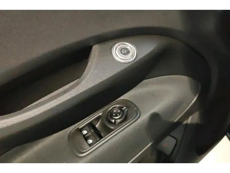 VEHICLE__CONDITION_SERVICE Fiat 500 Hybrid Torino GREEN 17