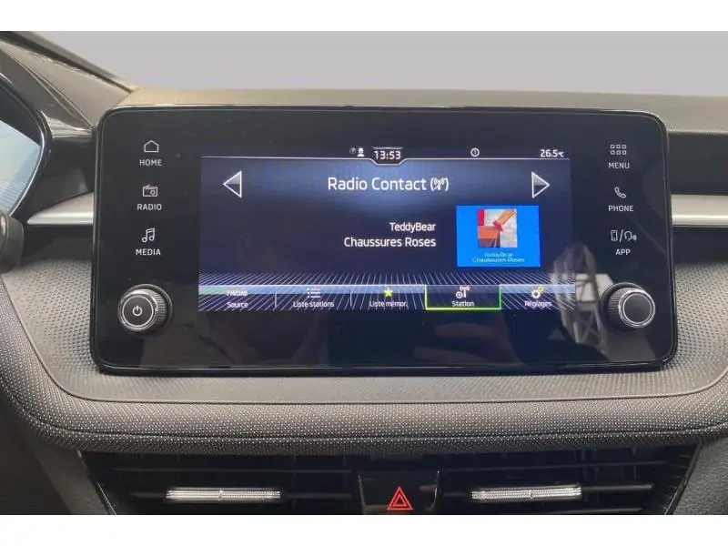 Occasion Skoda Fabia Selection GREY 31