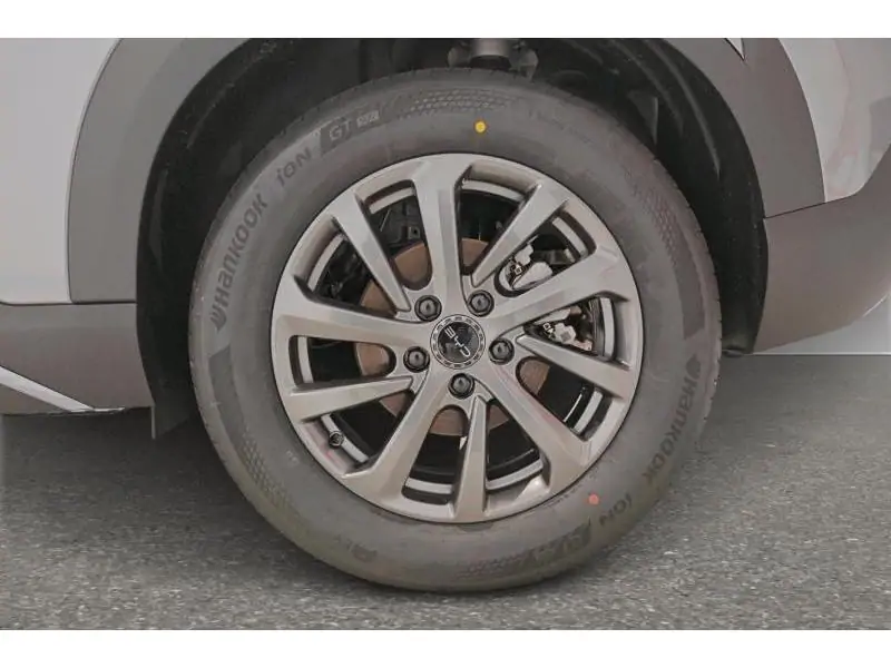 VEHICLE__CONDITION_SERVICE BYD ATTO 2 DMI BOOST GREY 20