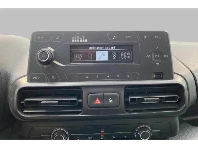 Occasion Citroen Berlingo Feel GREY 14