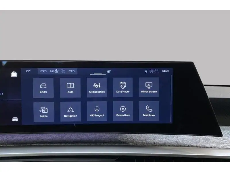 VEHICLE__CONDITION_SERVICE Peugeot 3008 ALLURE*DISPO 06/2026 GREY 29