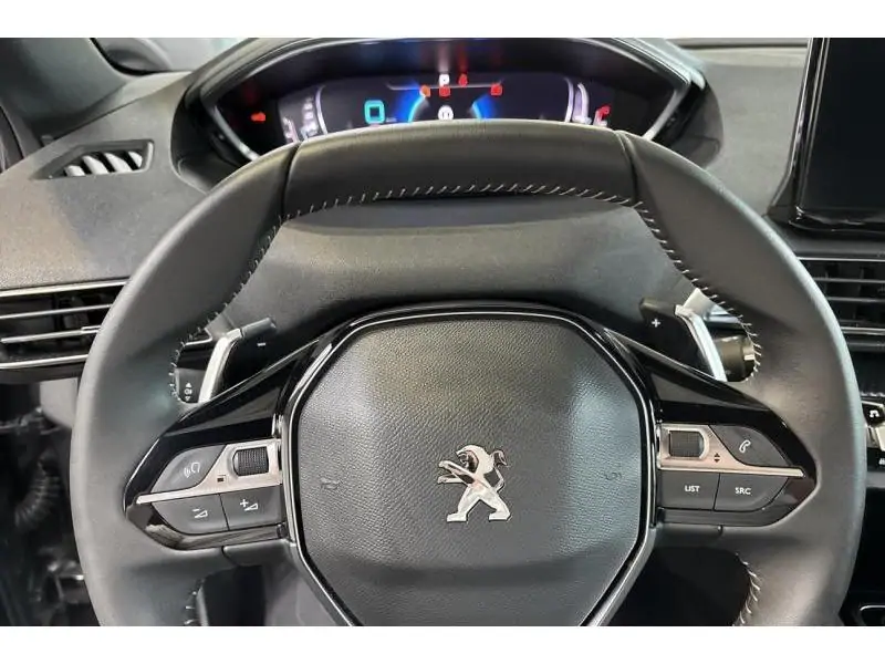 VEHICLE__CONDITION_SERVICE Peugeot 3008 ALLURE PACK GREY 12
