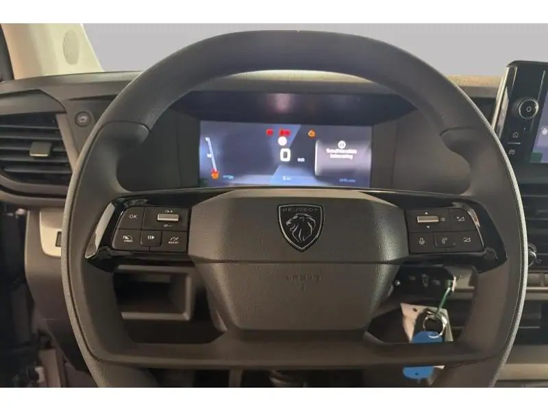 VEHICLE__CONDITION_SERVICE Peugeot Expert STANDARD GREY 12