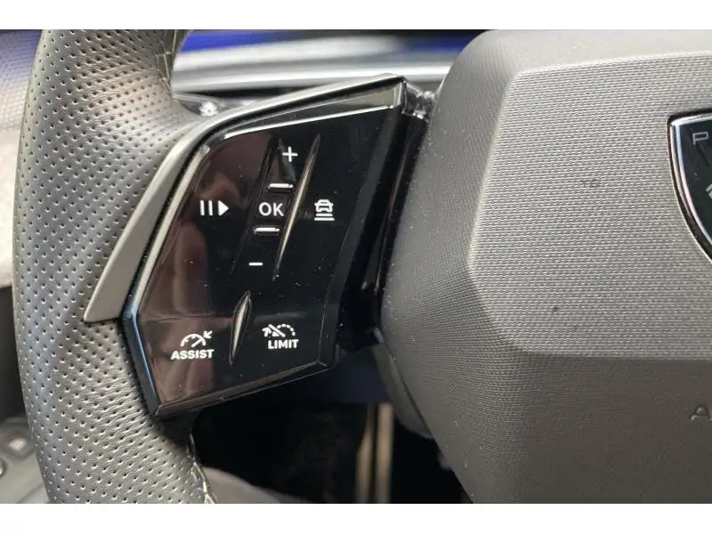 Occasion Peugeot 3008 FIRST EDITION BLUE 22
