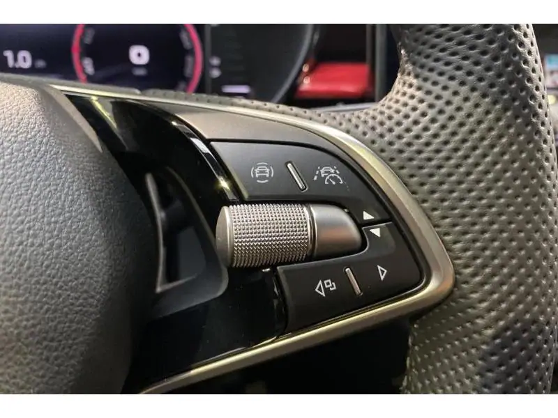 Occasion Skoda Fabia Monte Carlo GREY 23