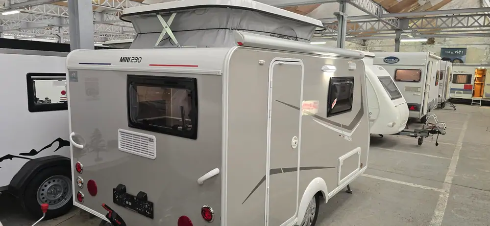Occasion SILVER MINI FREESTYLE 290 2