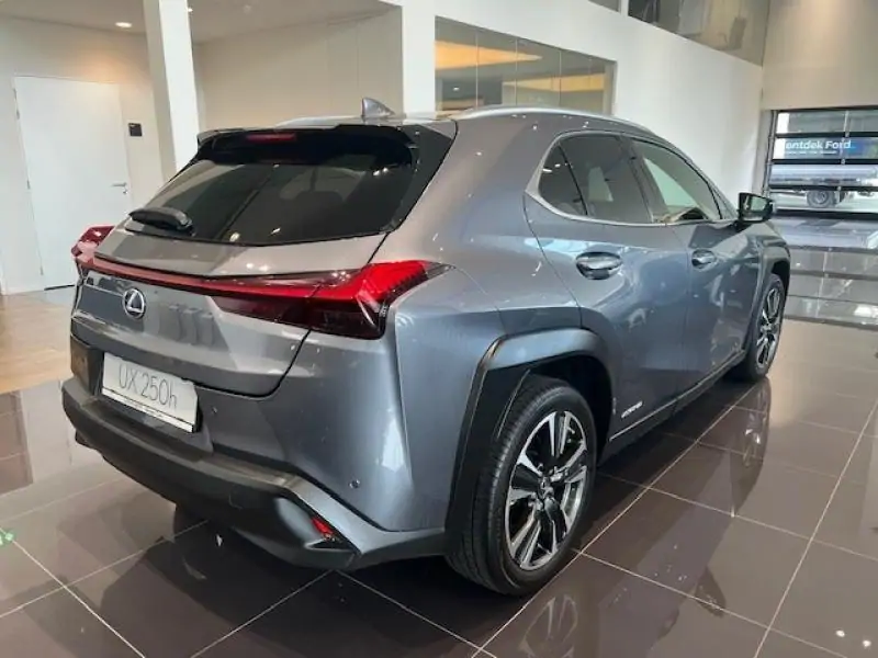 Occasie Lexus UX 250h Explore Line ANTHRACITE - Anthracite 4