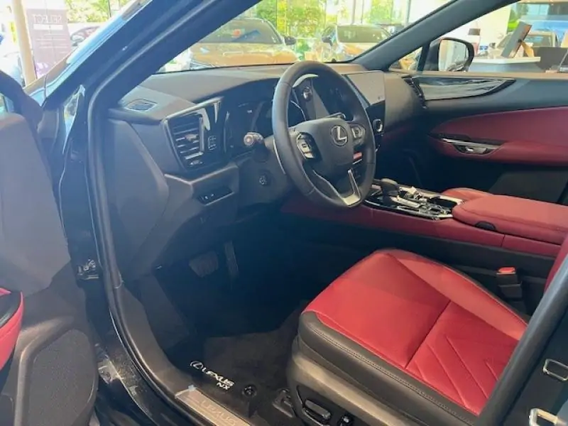 Occasie Lexus NX 450h+ Executive Line BLACK - BLACK 6