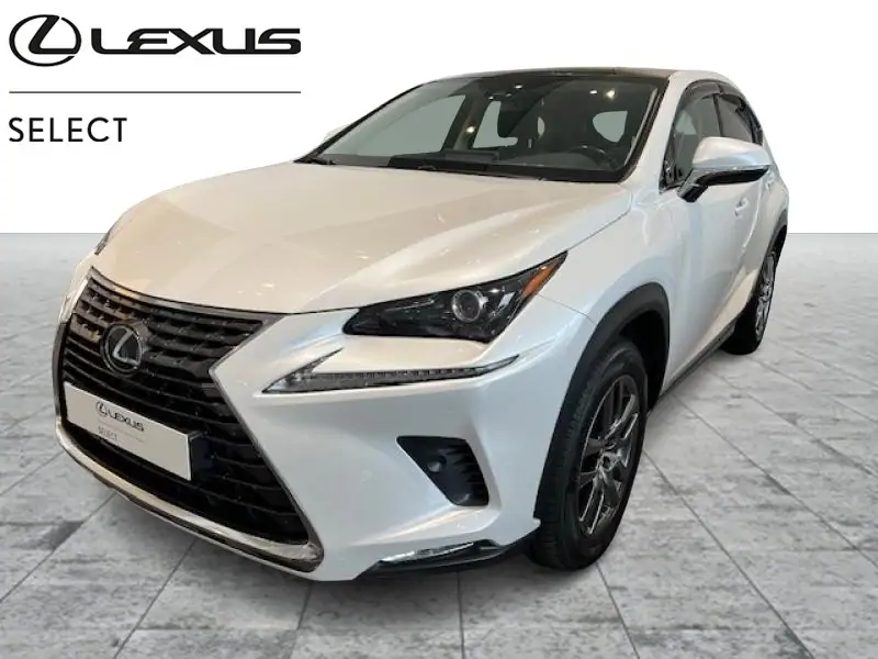 Occasie Lexus NX 300H Executive Line WHITE - Blanc 1