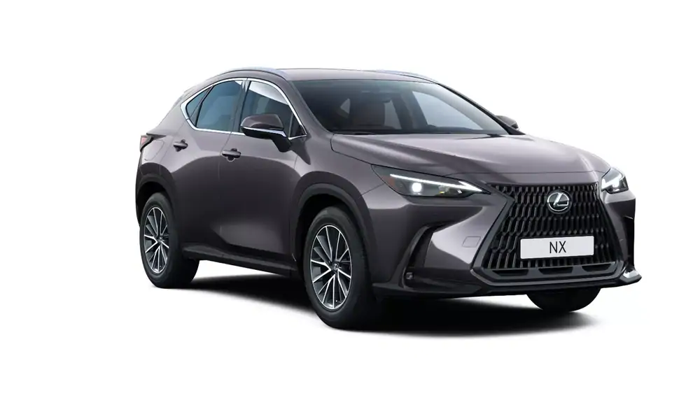 Nieuw Lexus Nx phev Wagon 450h+ E-CVT Executive Line LHD 1L1 - Sonic Grey (1L1) 1