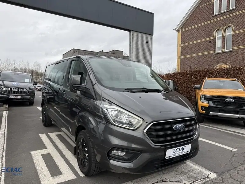 Occasie Ford Custom Manual 3