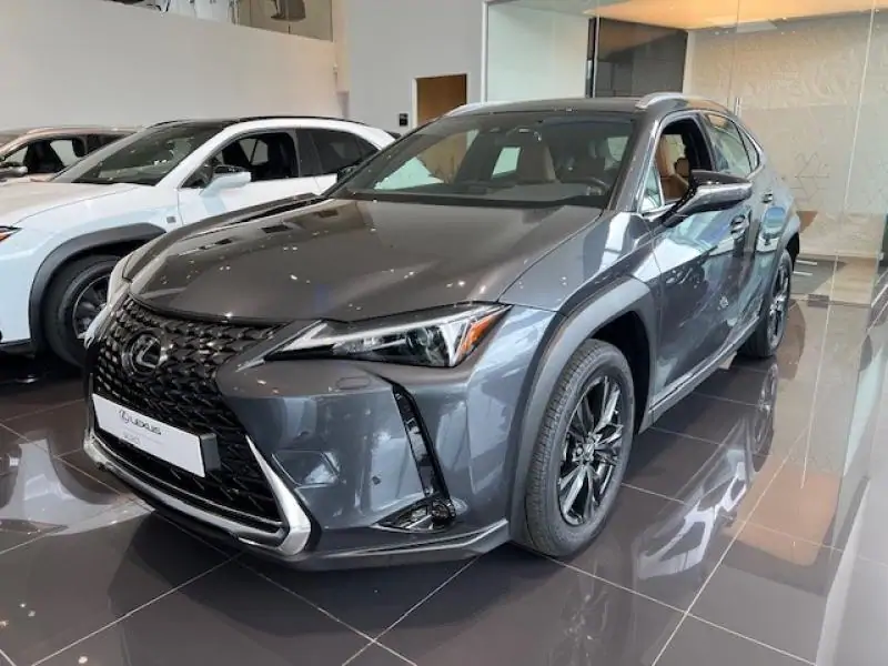 Occasie Lexus UX 250h Business Line GREY - Gris 7