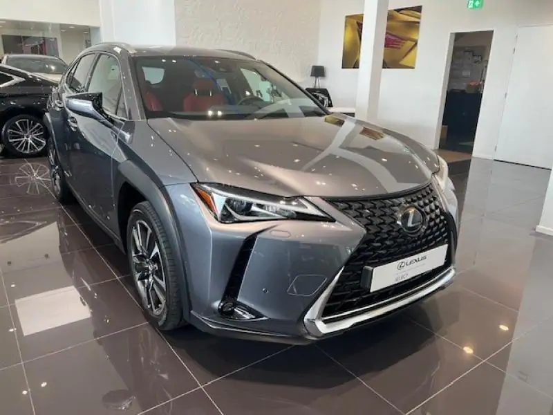 Occasie Lexus UX 250h Explore Line ANTHRACITE - Anthracite 2