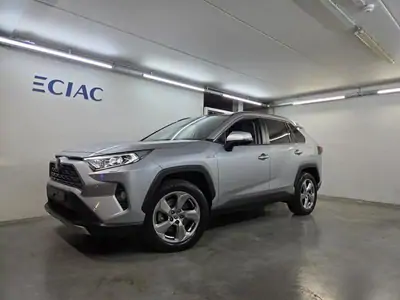 Occasie Toyota Rav4 5 d. 2.5 Hybrid AWD e-CVT Premium Plus L 1D6 - SILVER METALLIC (1D6)