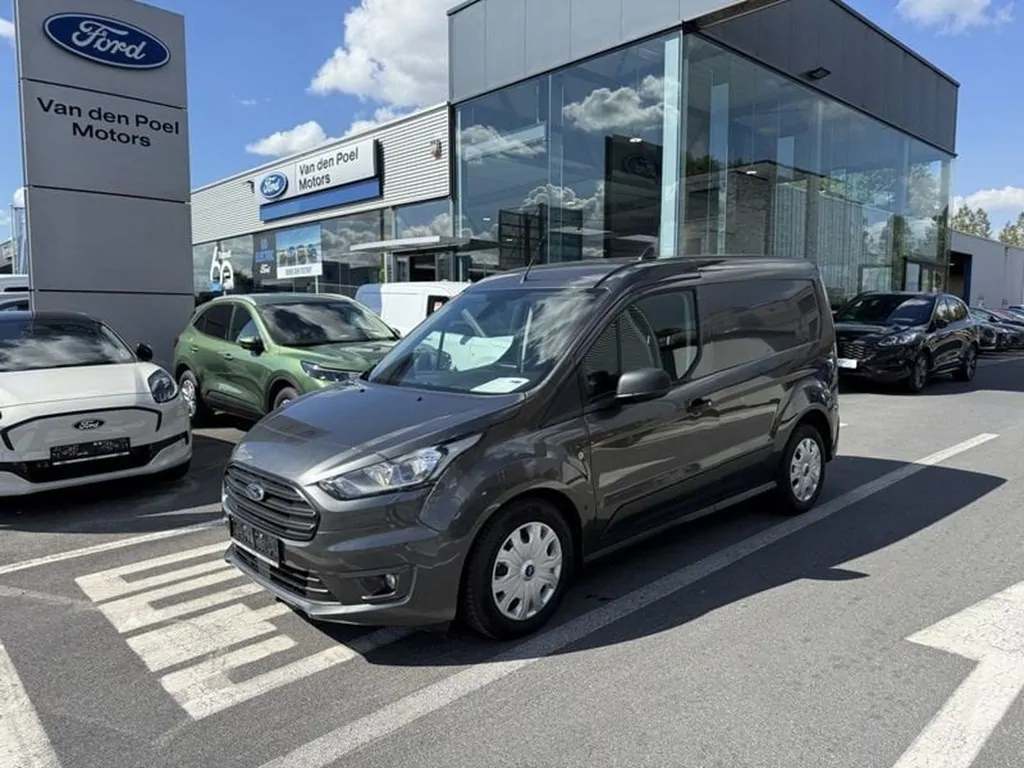 Ford Transit connect v408