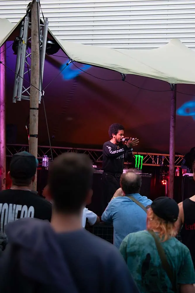 De headliners die het publiek opzwepen