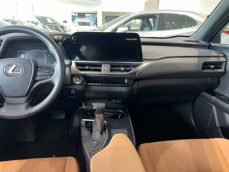 Occasie Lexus UX 250h Business Line GREY - Gris 6
